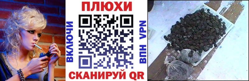 ГАШ Ice-O-Lator  гидра вход  Котовск 