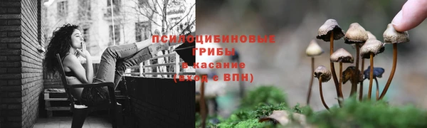 apvp Алексеевка