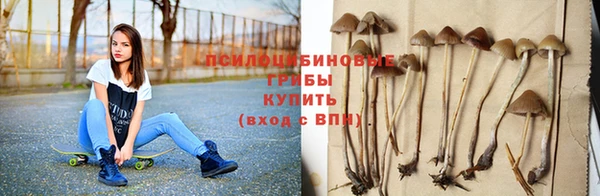 apvp Алексеевка