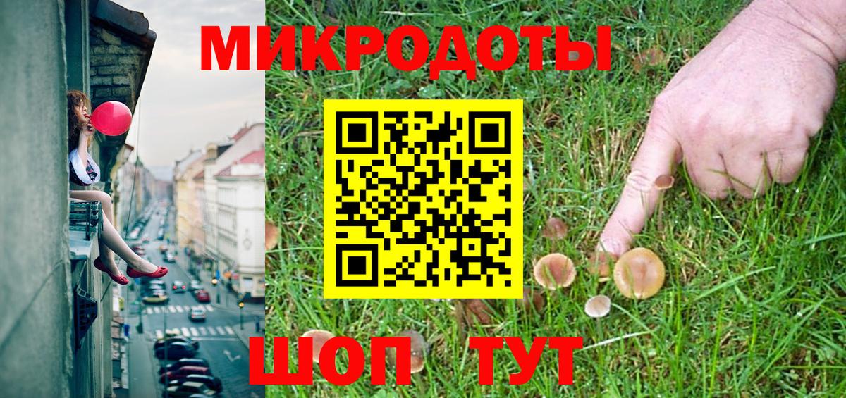 Галлюциногенные грибы Psilocybe Котовск