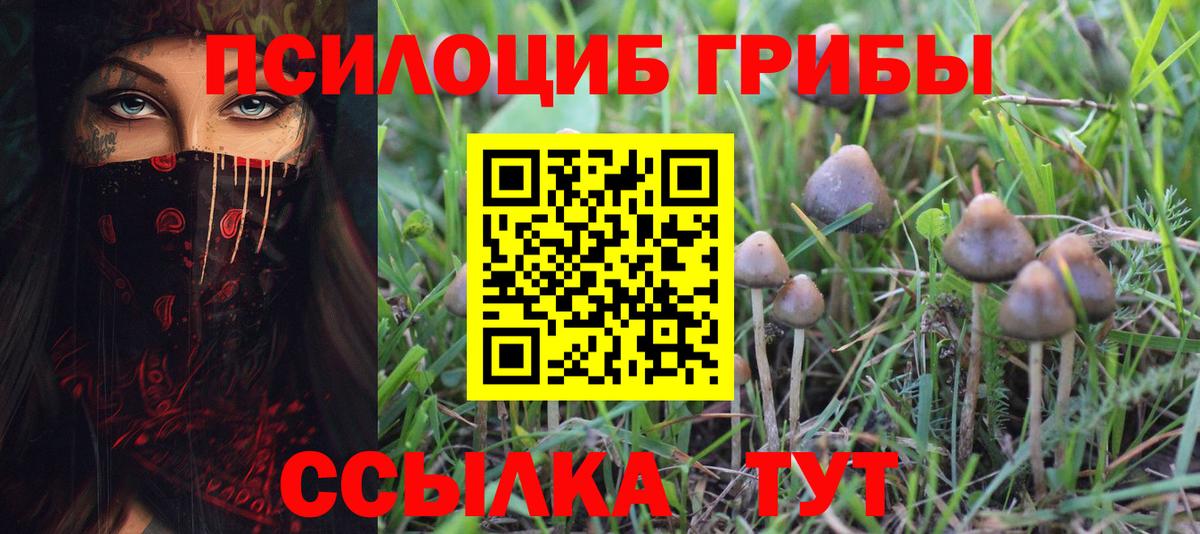 Галлюциногенные грибы прущие грибы  Псилоцибиновые грибы мухоморы  Котовск  Вход с VPN 